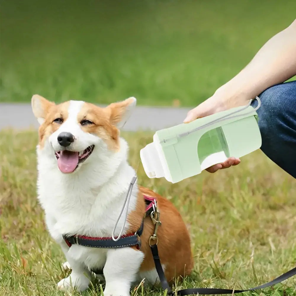 2 In 1 Travel Dog Water Bottle Pet Water Dispenser Feeder Drinking Feeder Dog Outing Water Feeder Pets Outdoor Portable Cup Pet Products Beyond Trends Hub