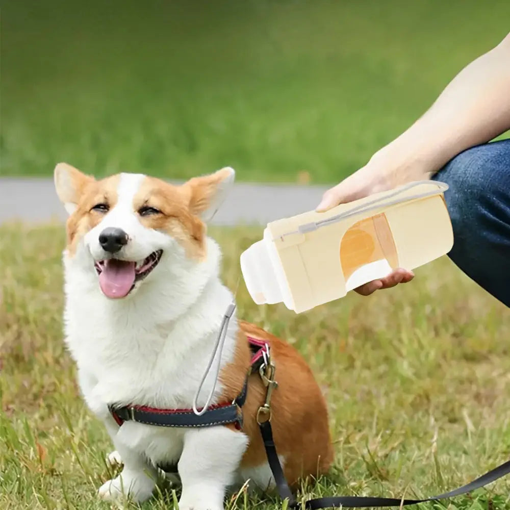 2 In 1 Travel Dog Water Bottle Pet Water Dispenser Feeder Drinking Feeder Dog Outing Water Feeder Pets Outdoor Portable Cup Pet Products Beyond Trends Hub