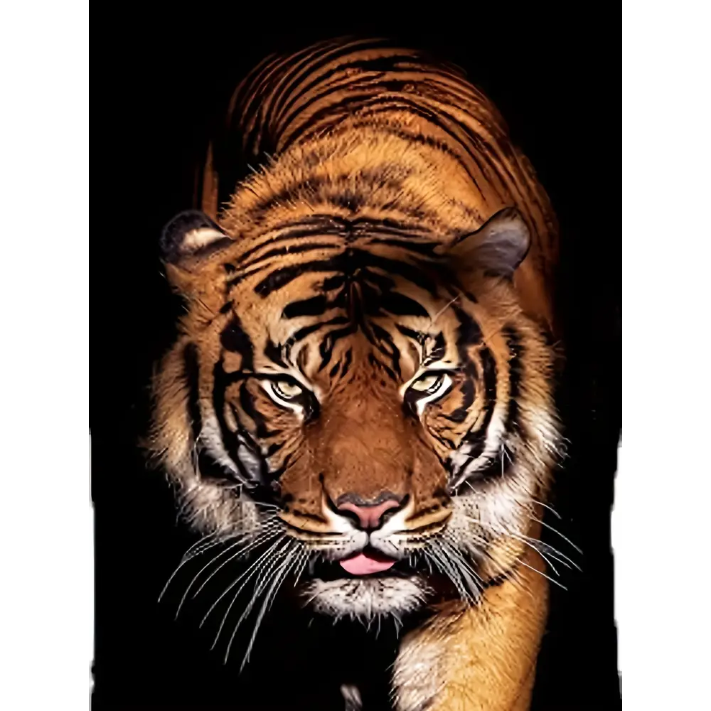 3D Tiger Printed Men’s Fashionable Short Sleeved Round Neck T-shirt Summer Outdoor - 5