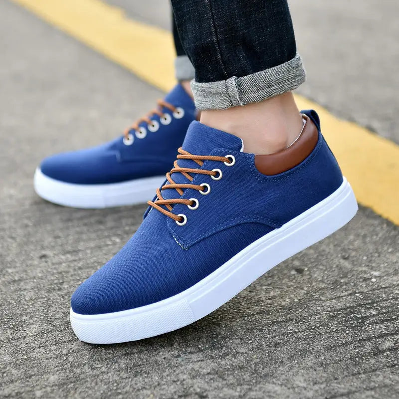 Canvas shoes Korean cloth shoes sports - R009 blue / 42