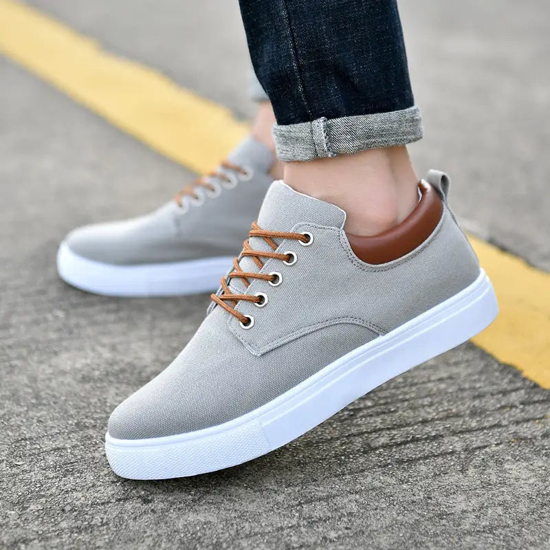 Canvas shoes Korean cloth shoes sports - R009 grey / 42