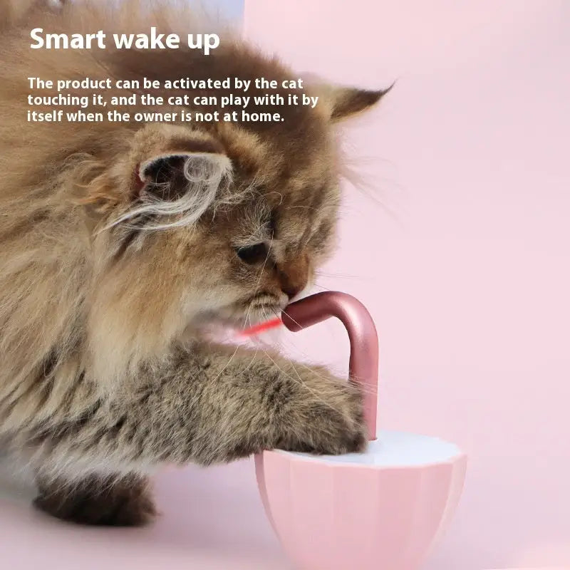 Cat Umbrella Laser Toy Interactive Kitten Automatic Pet Toy Smart Game Active For Pets Electric Intelligent USB Charging Beyond Trends Hub
