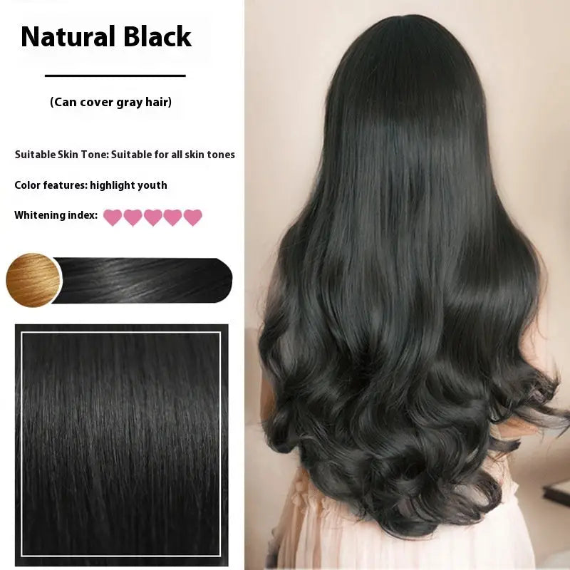 Plants Do Not Hurt Scalp Hair Dye - Natural Black / 500ml