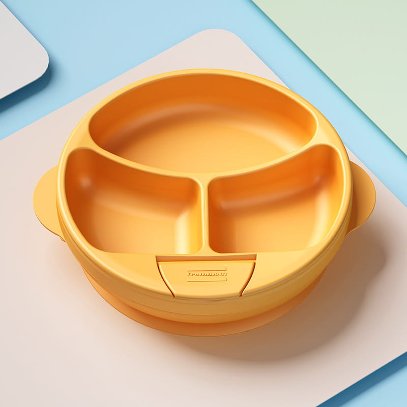 Children’s Suckers Are Divided Into Plates