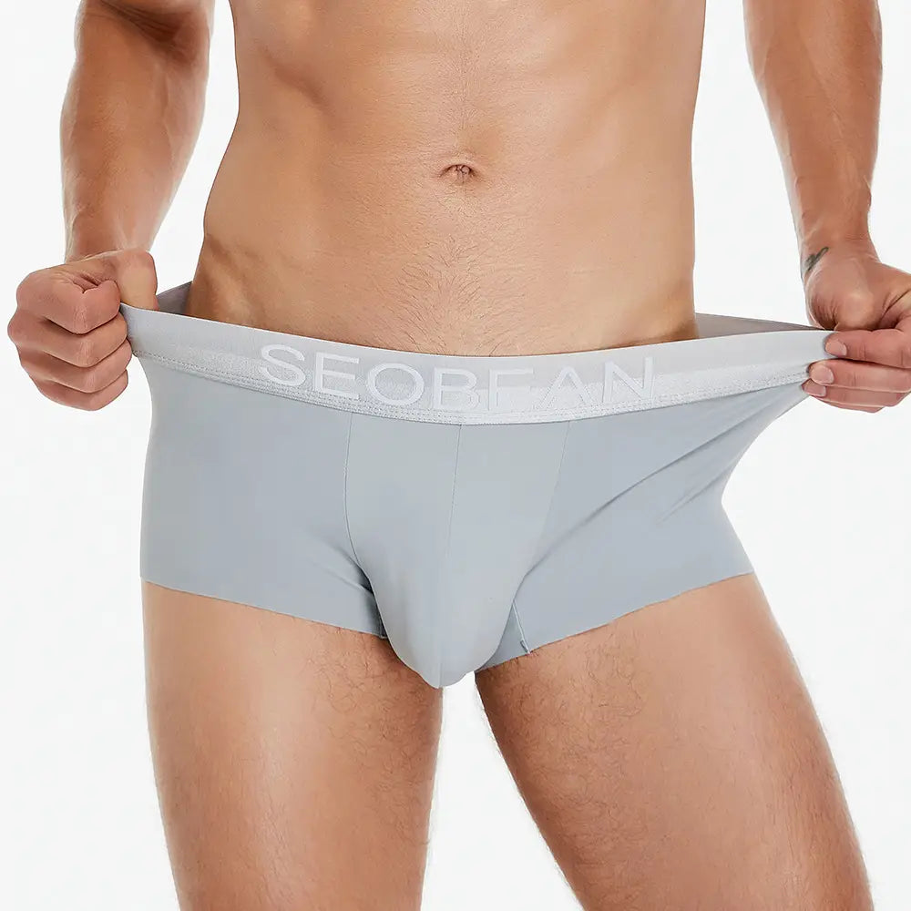 Men’s Underwear Low Waist Ice Silk Boxers