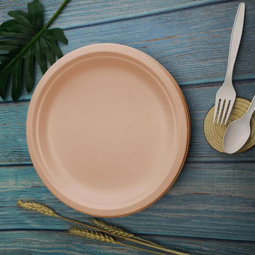 Disposable environmentally friendly pulp tableware 6 inch plate