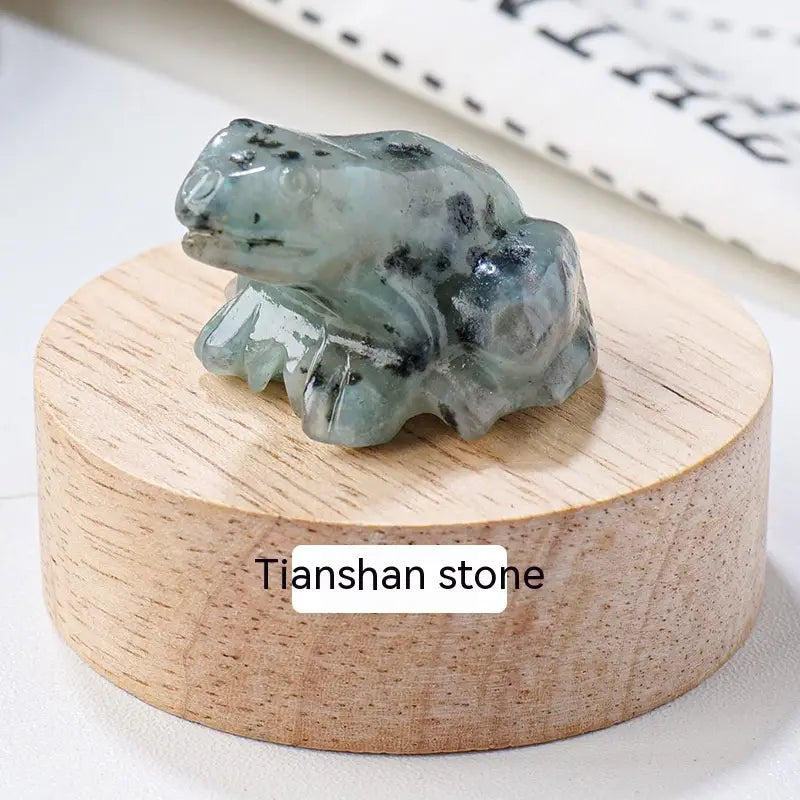 Specimen Popular Science Ornament Children’s Gifts