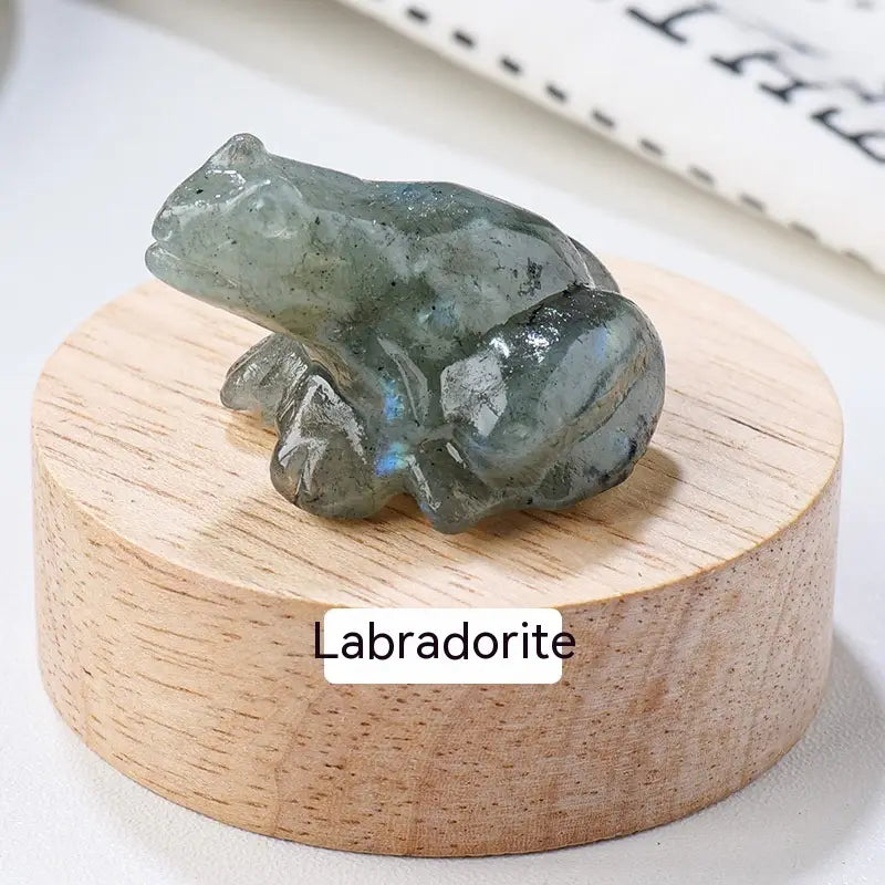 Specimen Popular Science Ornament Children’s Gifts
