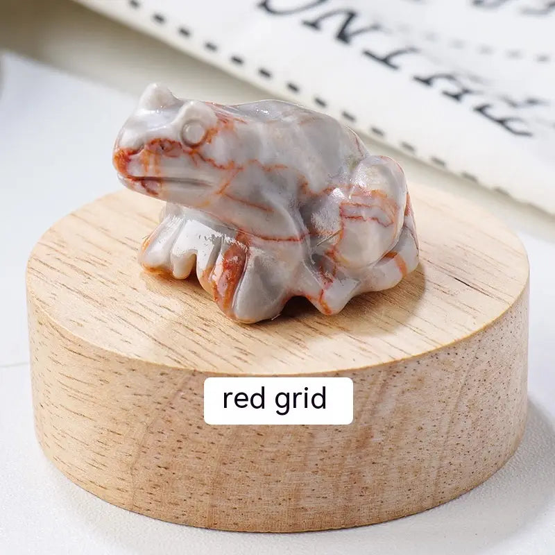 Specimen Popular Science Ornament Children’s Gifts