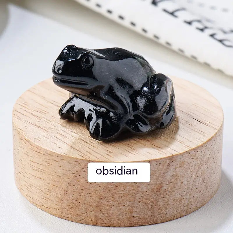 Specimen Popular Science Ornament Children’s Gifts