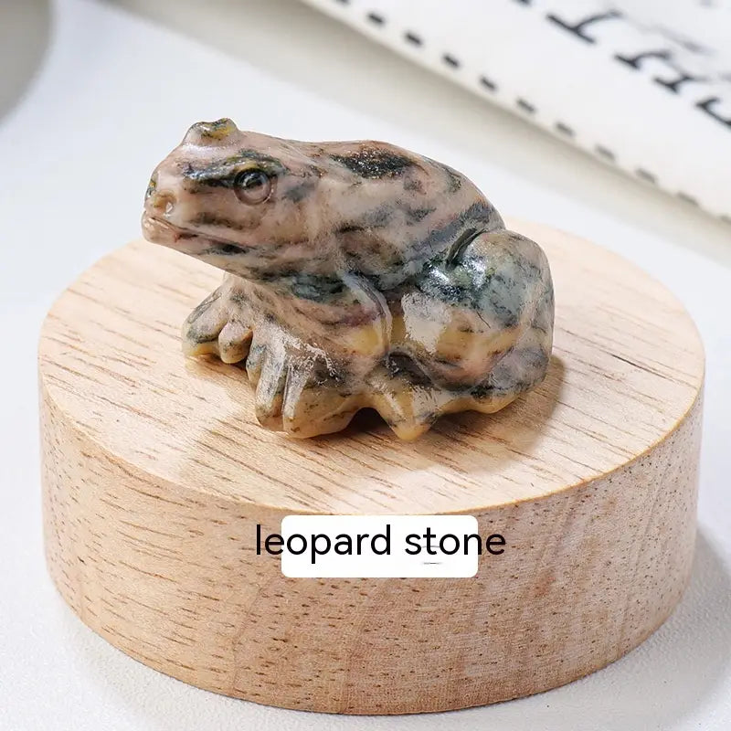 Specimen Popular Science Ornament Children’s Gifts