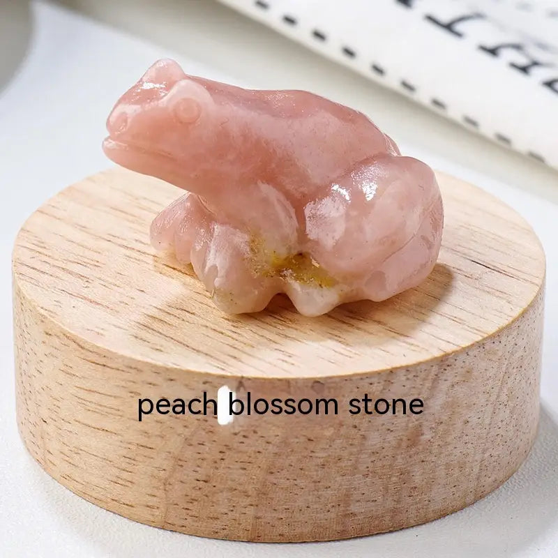 Specimen Popular Science Ornament Children’s Gifts