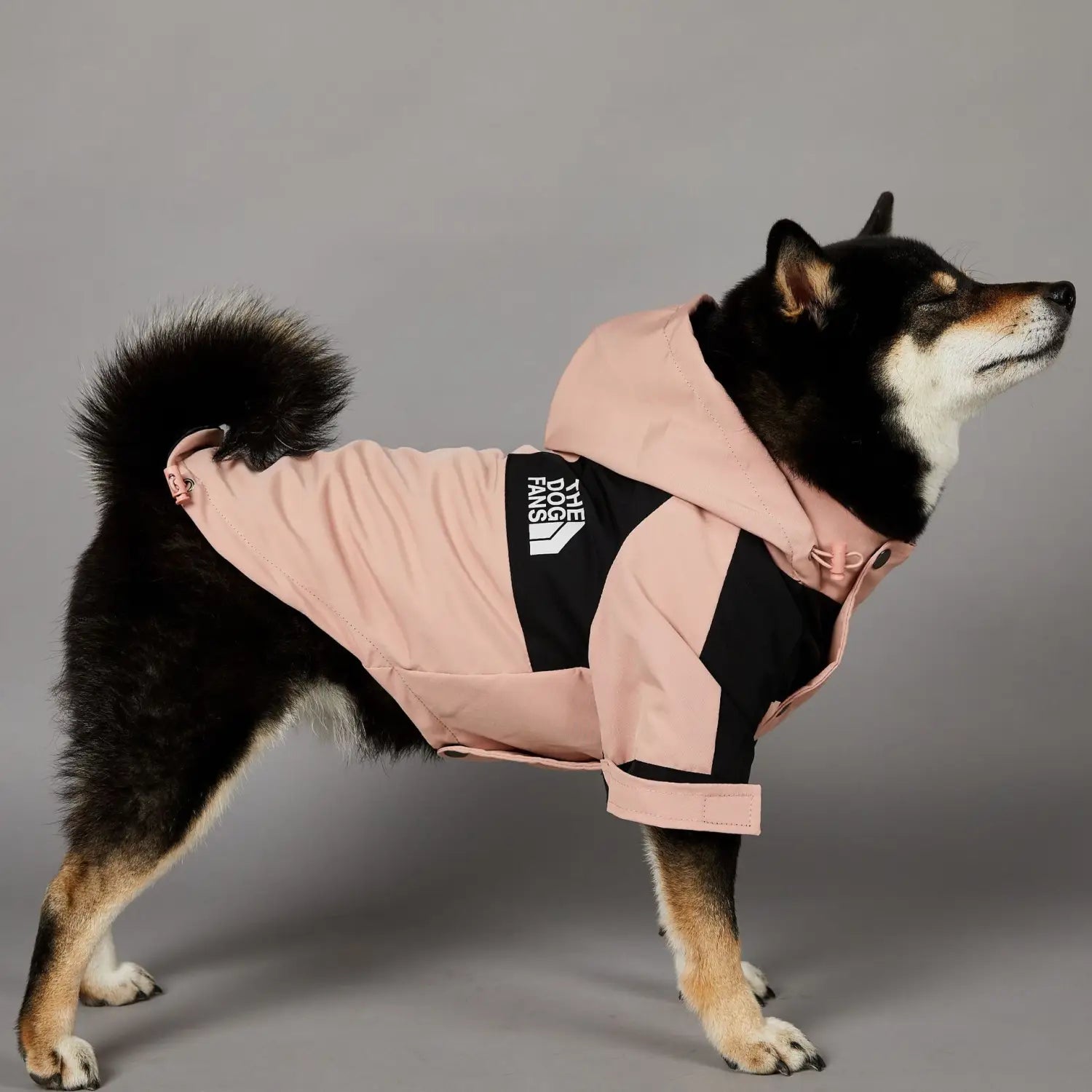 Windproof Pet Shell Jacket