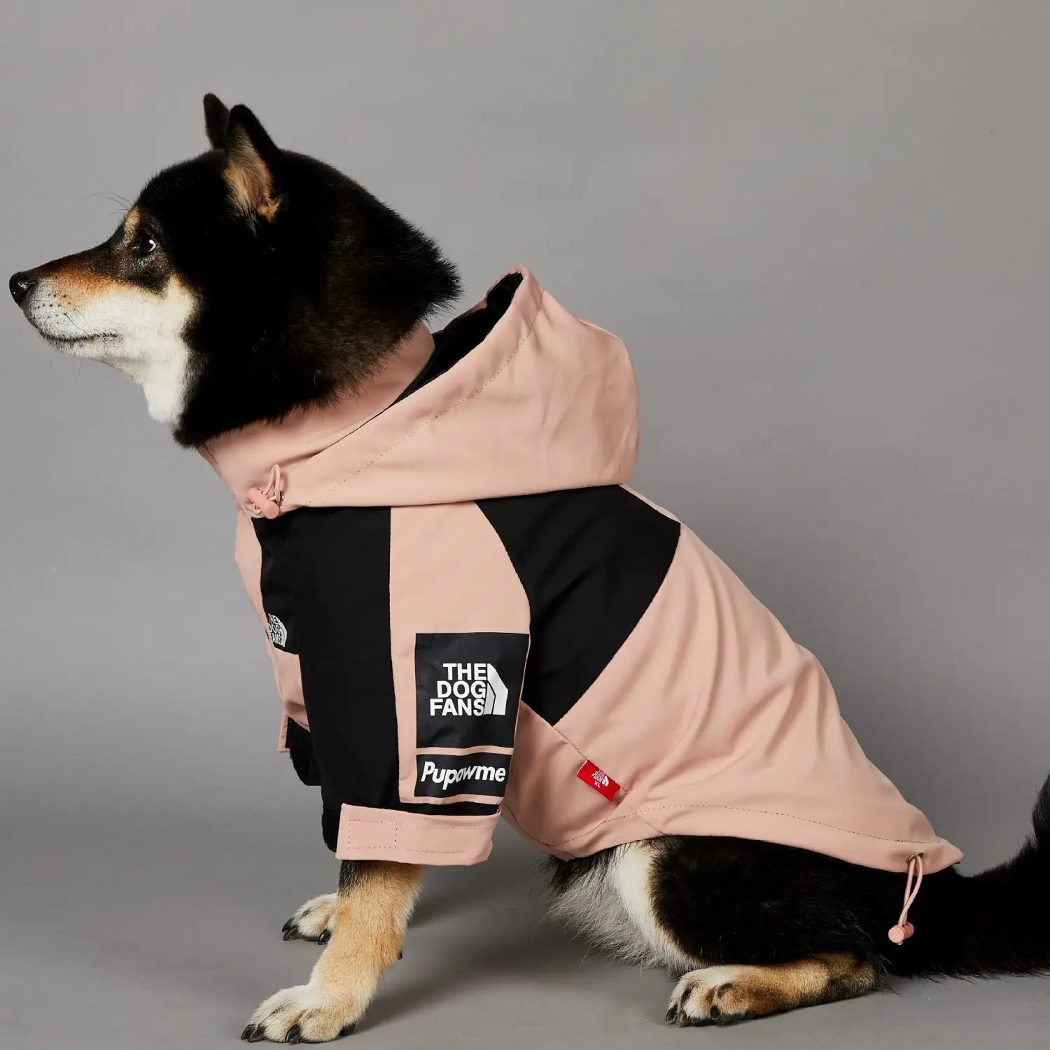 Windproof Pet Shell Jacket
