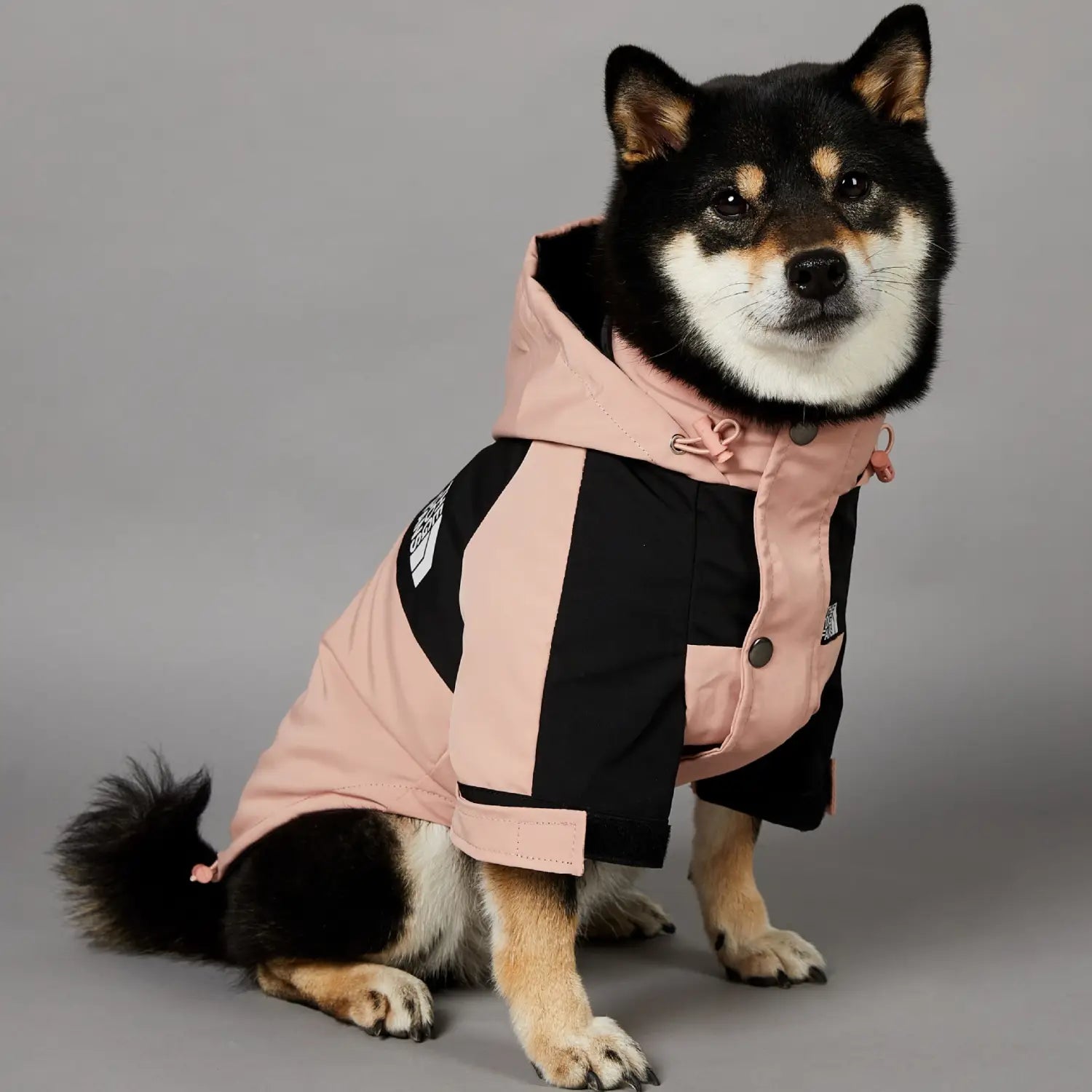 Windproof Pet Shell Jacket