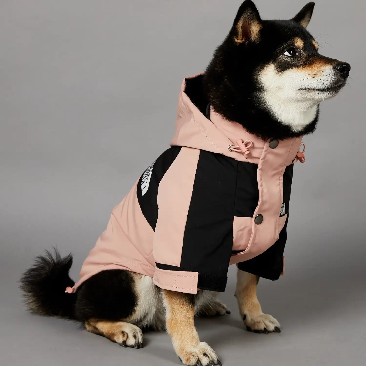 Windproof Pet Shell Jacket