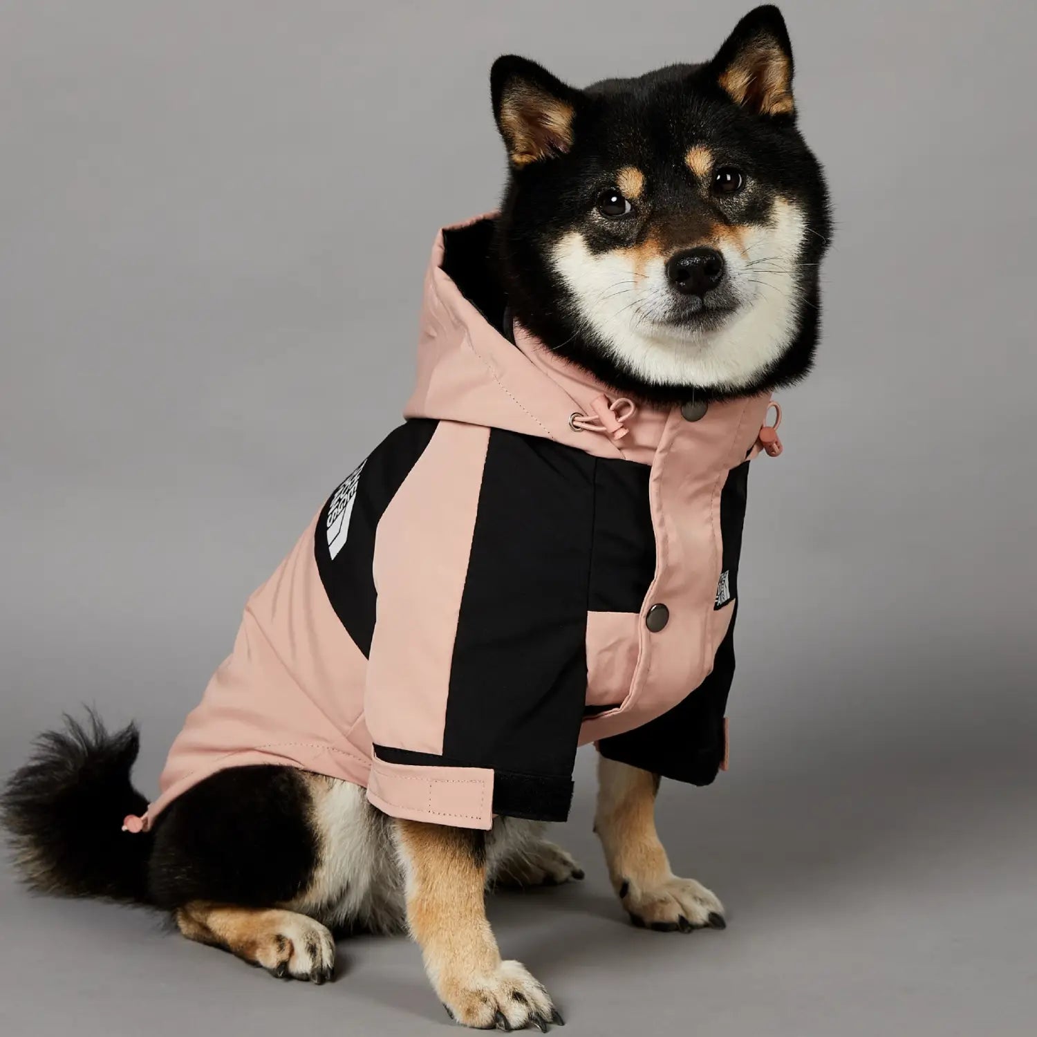 Windproof Pet Shell Jacket