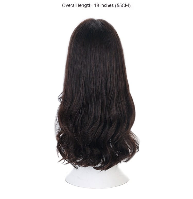 Women’s Wig Seamless Artificial Hair Full-head Wig Long Curly Hair