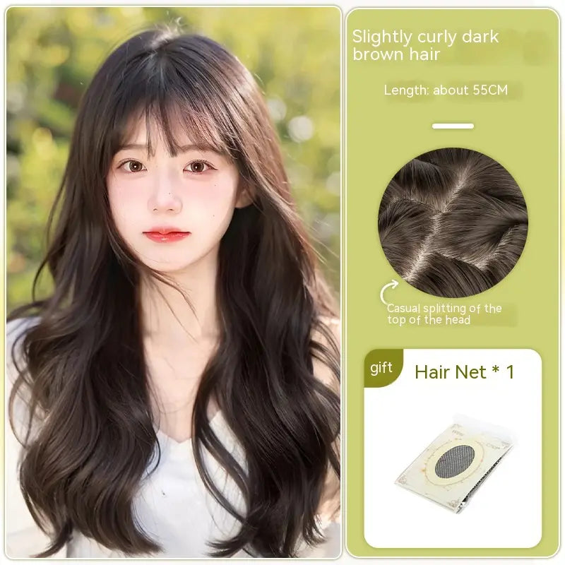 Wig Women’s Long Hair Full-head Wig-style Curly Hair Seamless Wig Sheath