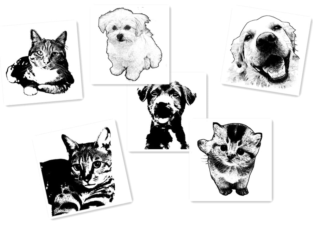 Personalized Pet Photo Disc Necklace Ladies Kitten Name Pendant Necklace Custom Animal Stainless Steel Necklace Jewelry