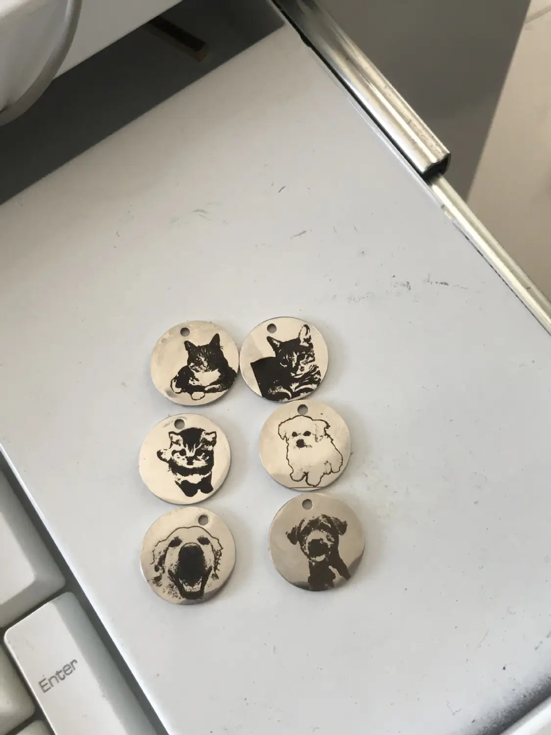 Personalized Pet Photo Disc Necklace Ladies Kitten Name Pendant Necklace Custom Animal Stainless Steel Necklace Jewelry