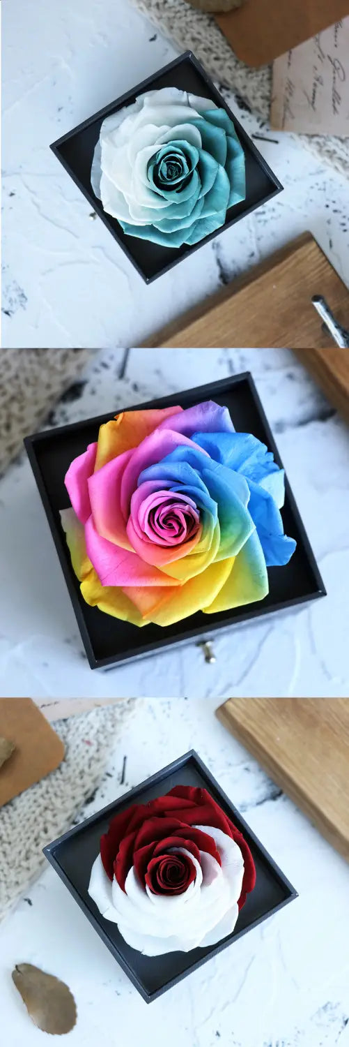 Valentines Day Gift Women Rose Jewelry Box Dried Flower Real Flowers Eternal Roses In Box