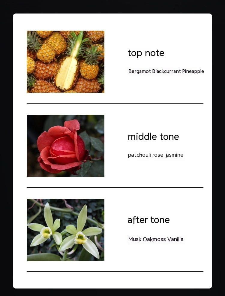 Napoleon Men’s Perfume Long-lasting Light Perfume