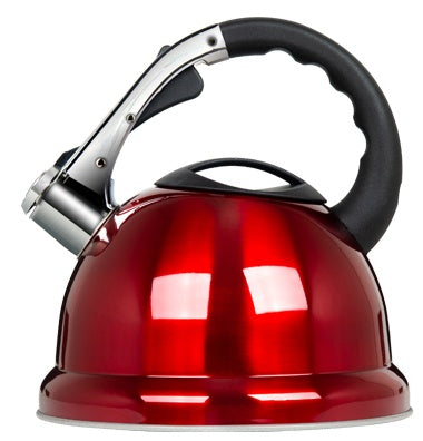 New Kettle Gas Stainless Steel Portable