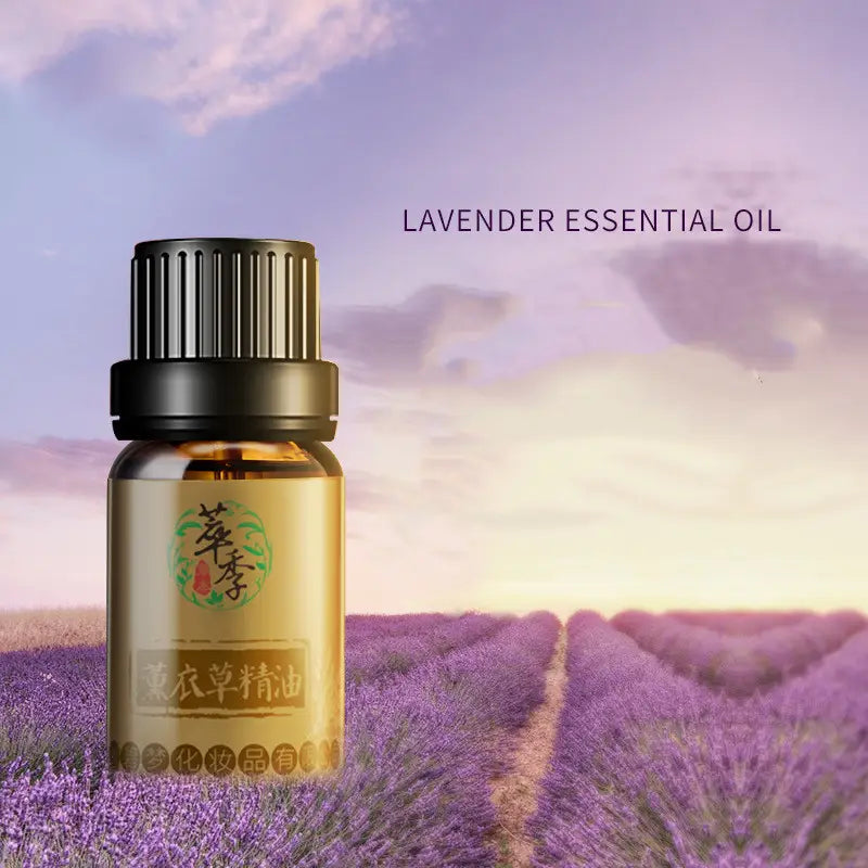 Essential Oil 10ml Rose