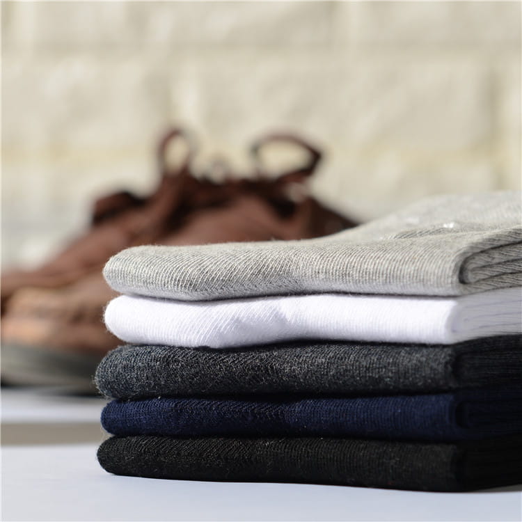 Men’s Socks Four Seasons Pure Cotton Embroidery