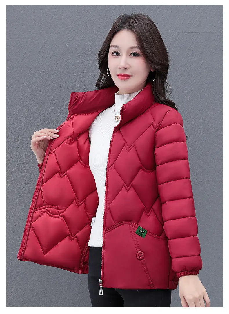 Winter Women’s Down Cotton Top