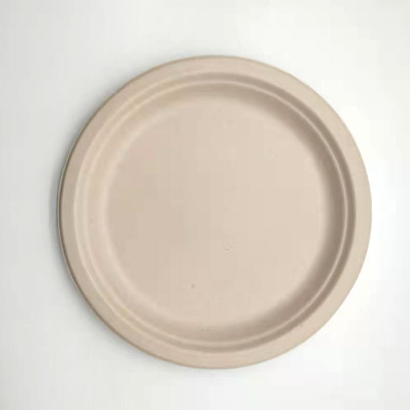 Round disposable plate from Pure Pulp Disposable Paper Plates for eco-friendly dining.