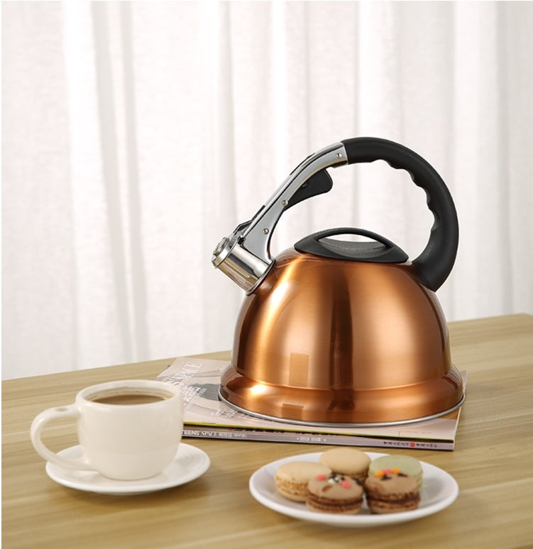 New Kettle Gas Stainless Steel Portable