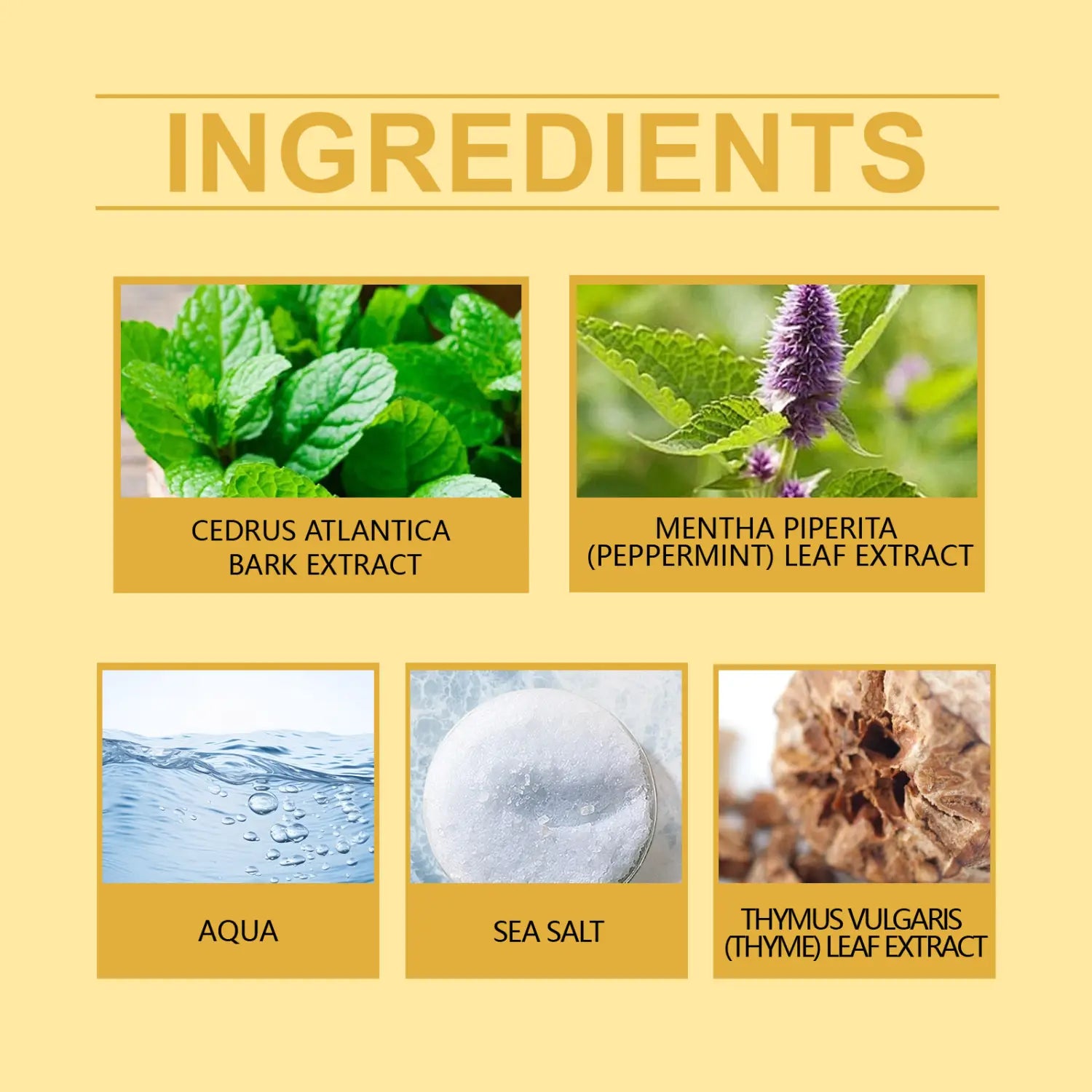 Eau De Toilette Suit Men’s Perfume Lasting Fragrance