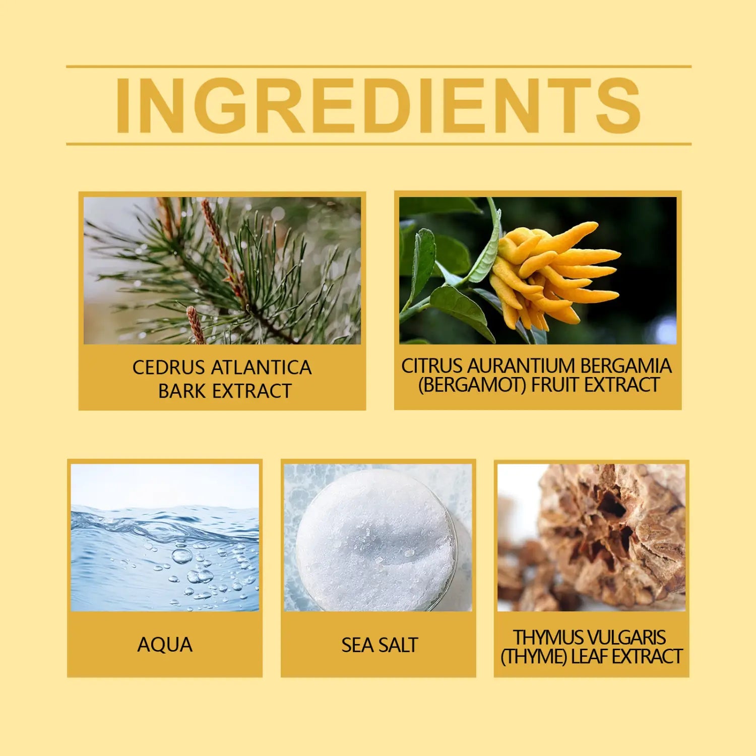 Eau De Toilette Suit Men’s Perfume Lasting Fragrance