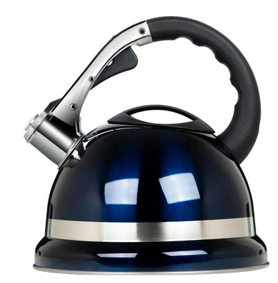 New Kettle Gas Stainless Steel Portable