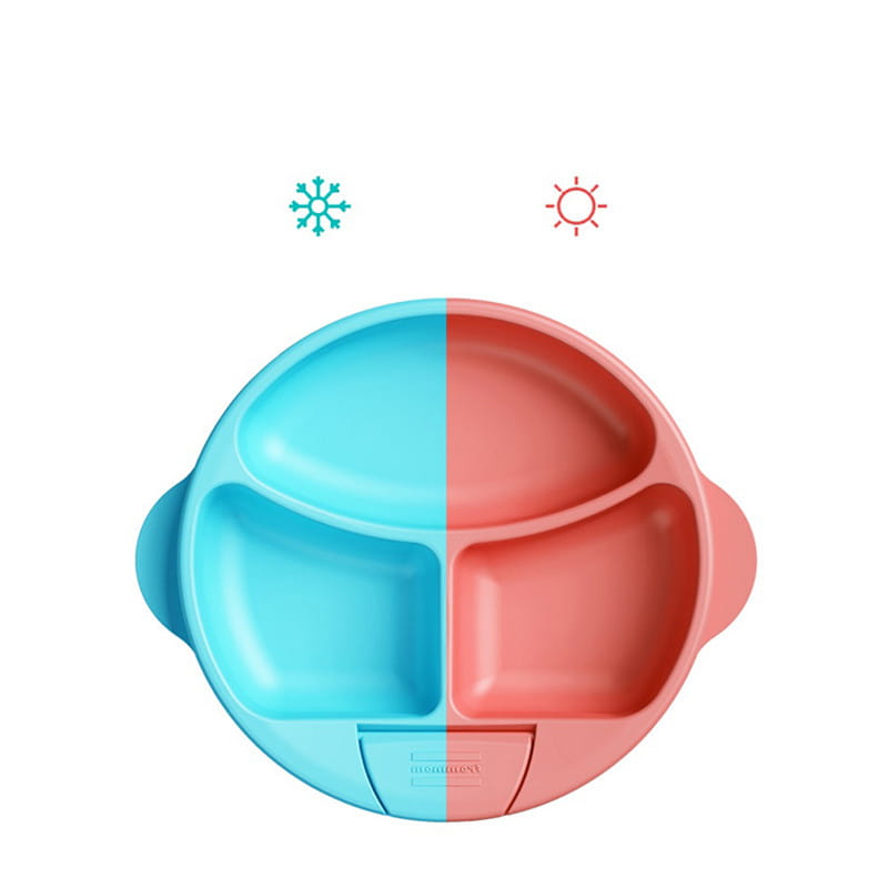 Children’s Suckers Are Divided Into Plates