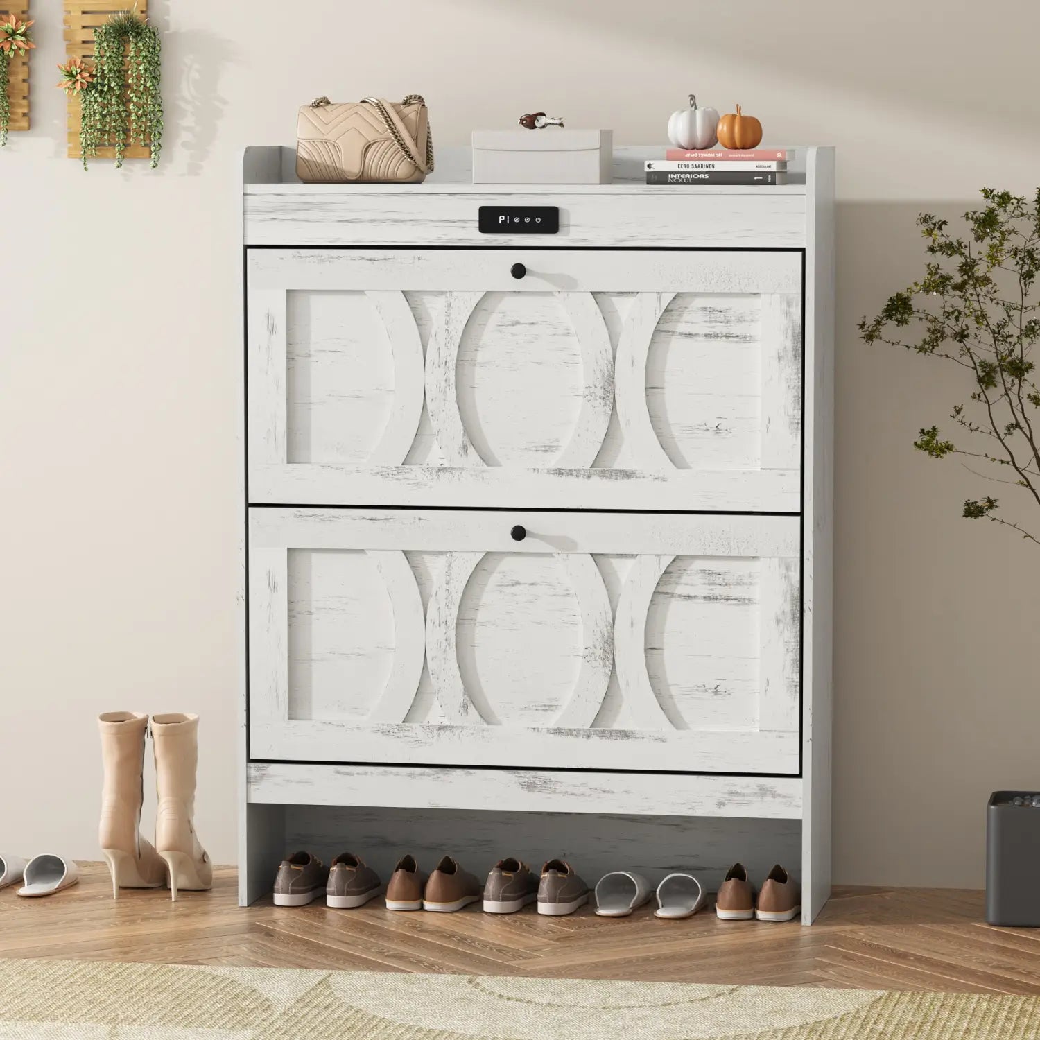 Shoe Storage Cabinet