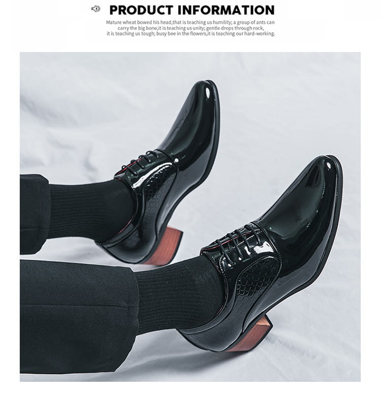 men’s leather shoes