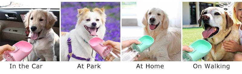 Portable Dog Water Bottle For Small Large Dogs Cat Outdoor Leakproof Walking Drinking Bowls Chihuahua French Bulldog