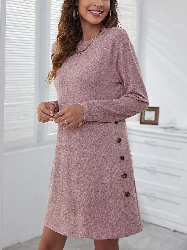 Long-sleeved Round-neck Straight Dress Fashion Casual Loose Solid Color Dress For Women Fall Spring Clothing