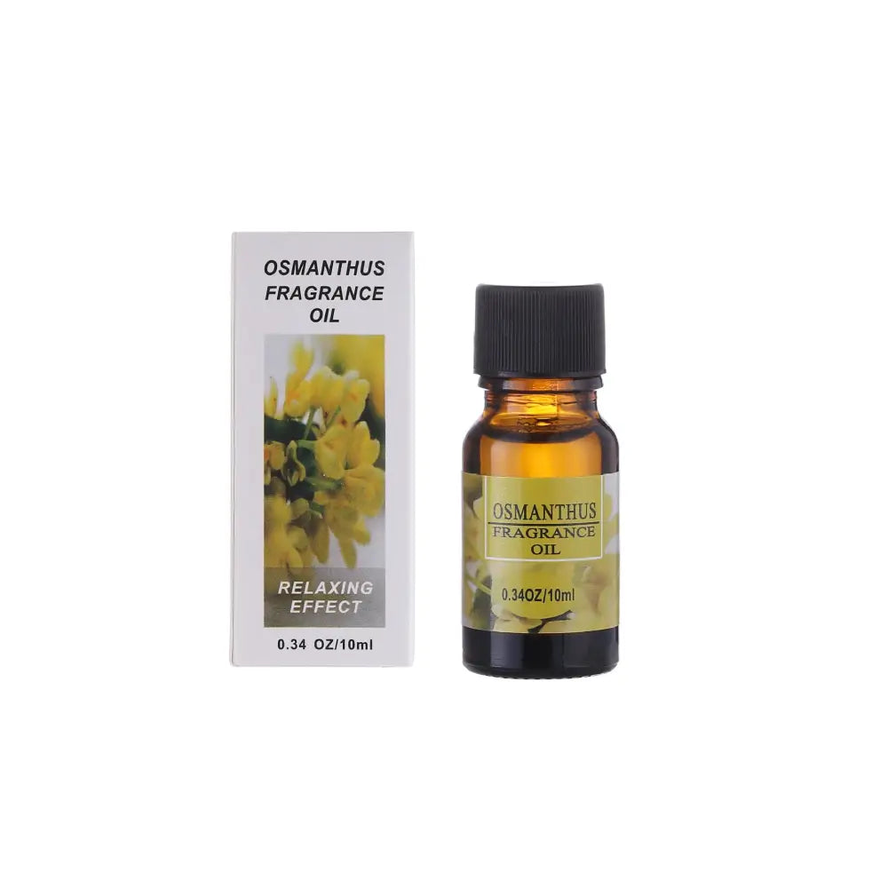 Aromatherapy essential oil humidifier Beyond Trends Hub