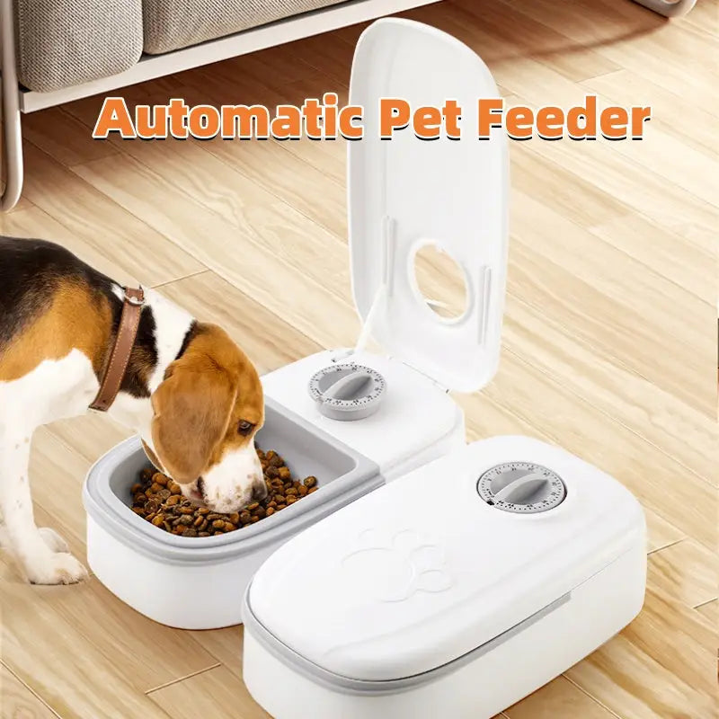 Automatic Pet Feeder Smart Food Dispenser For Cats Dogs Timer Stainless Steel Bowl Auto Dog Cat Pet Feeding Pets Supplies Beyond Trends Hub