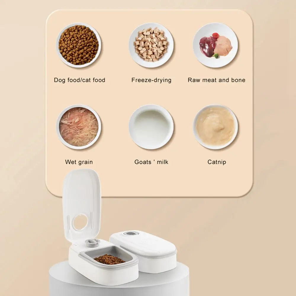 Automatic Pet Feeder Smart Food Dispenser For Cats Dogs Timer Stainless Steel Bowl Auto Dog Cat Pet Feeding Pets Supplies Beyond Trends Hub