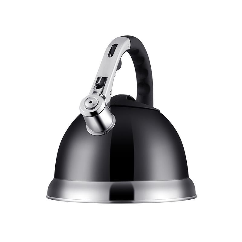 New Kettle Gas Stainless Steel Portable