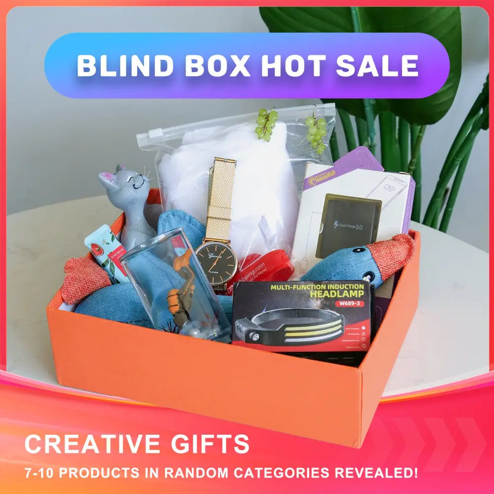 BLIND BOX HOT SALE - Beyond Trends Hub 