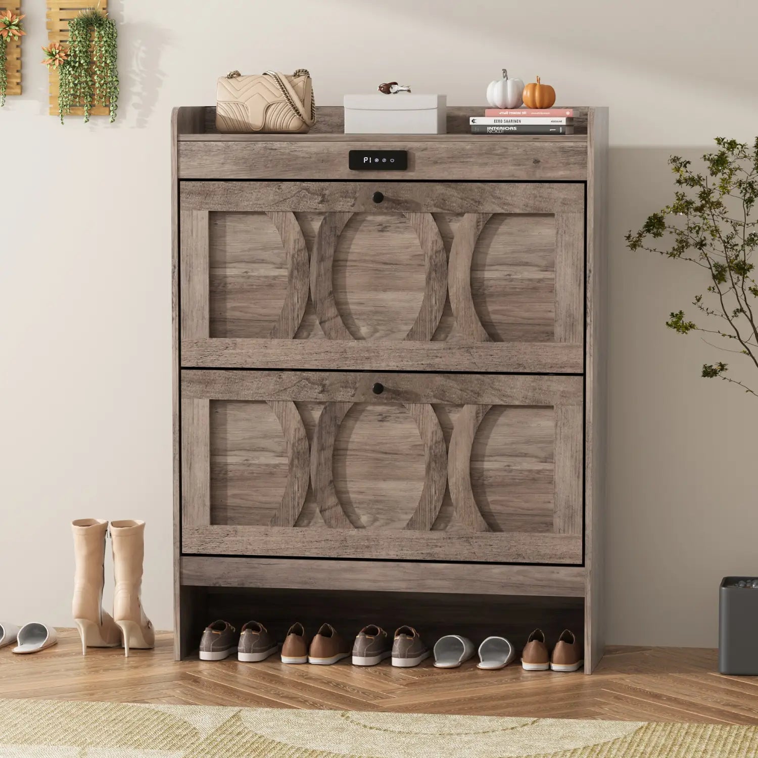 Shoe Storage Cabinet