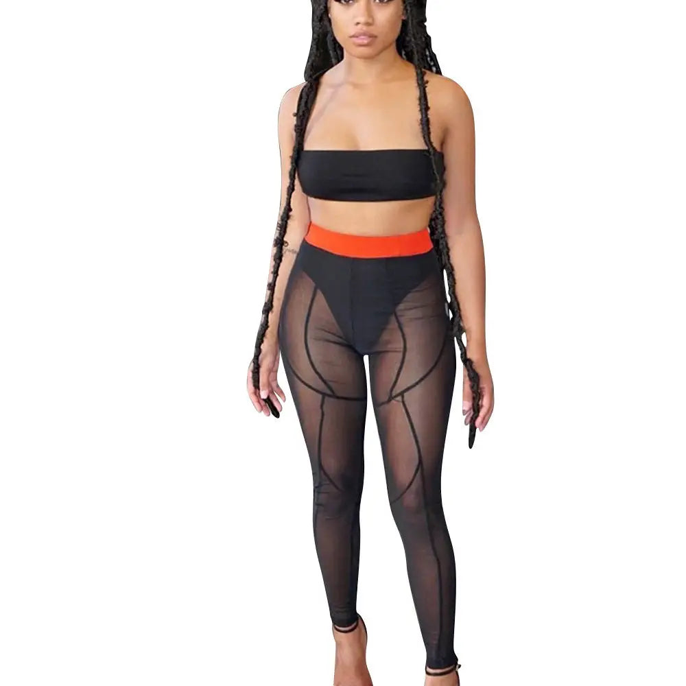 Color Matching Mesh Leggings Women Beyond Trends Hub