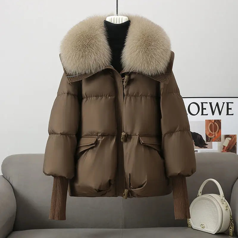 Down Cotton-padded Jacket Women’s Short Fur Collar Thickened Coat Winter Clothing - Brown / 2XL