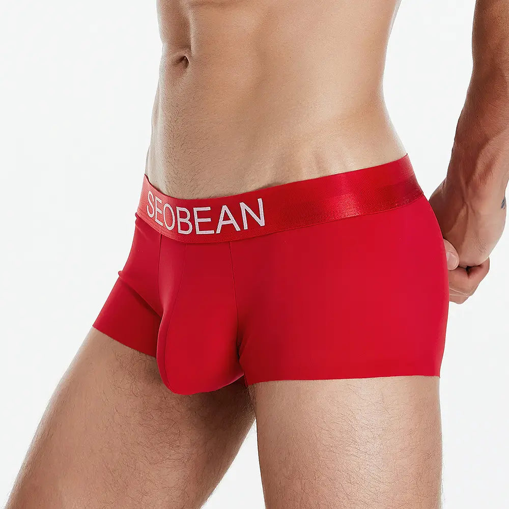 Men’s Underwear Low Waist Ice Silk Boxers